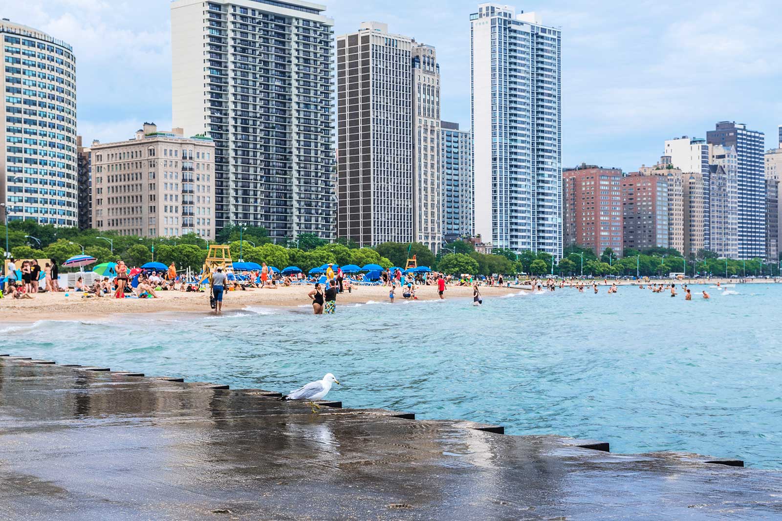 ساحل خیابان اوک - Oak Street Beach