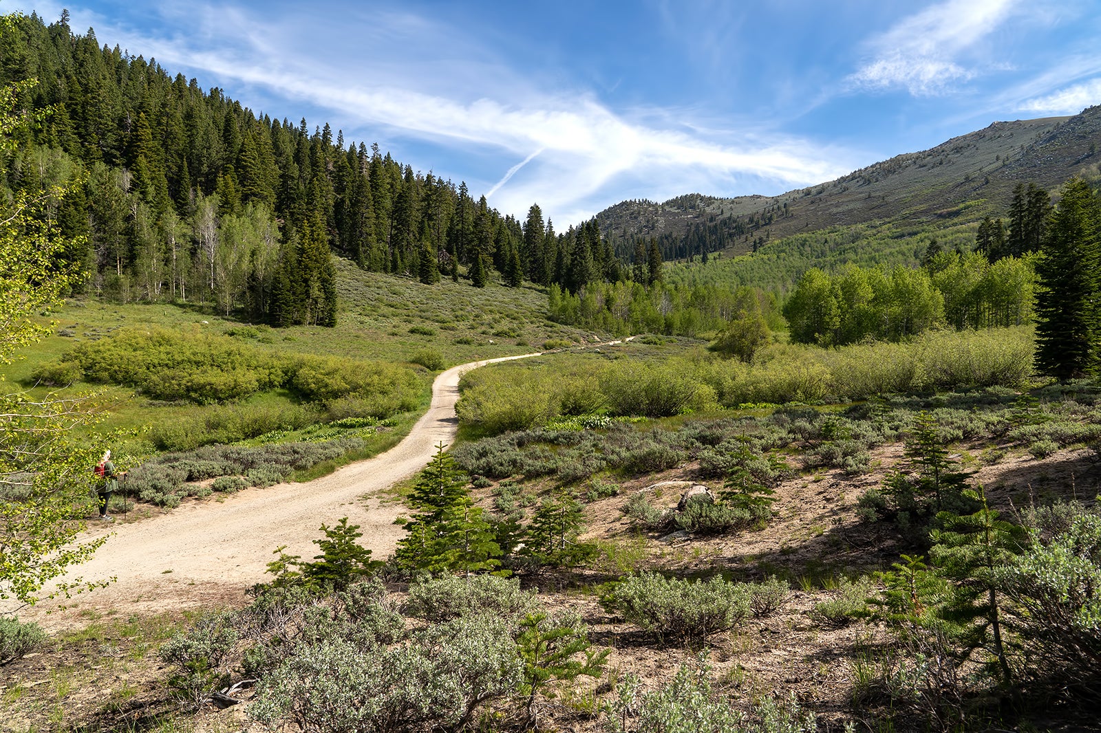 مسیر دریاچه مارلت - Marlette Lake Trail