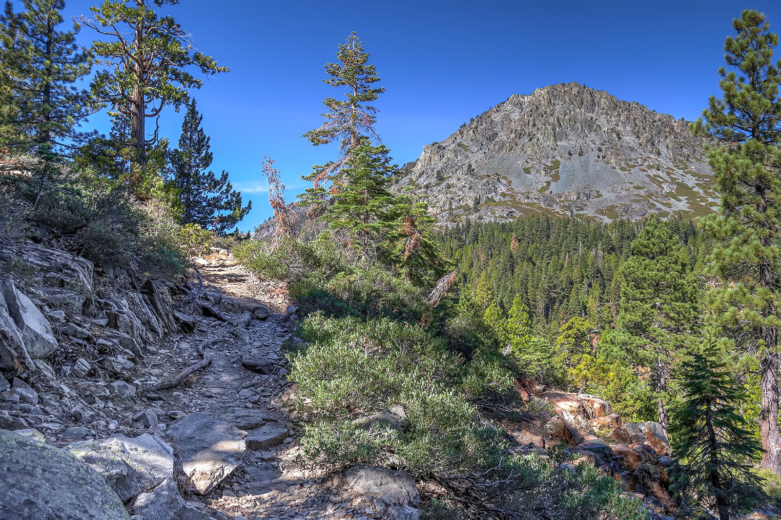 مسیر کوه تالاک - Mt. Tallac Trail