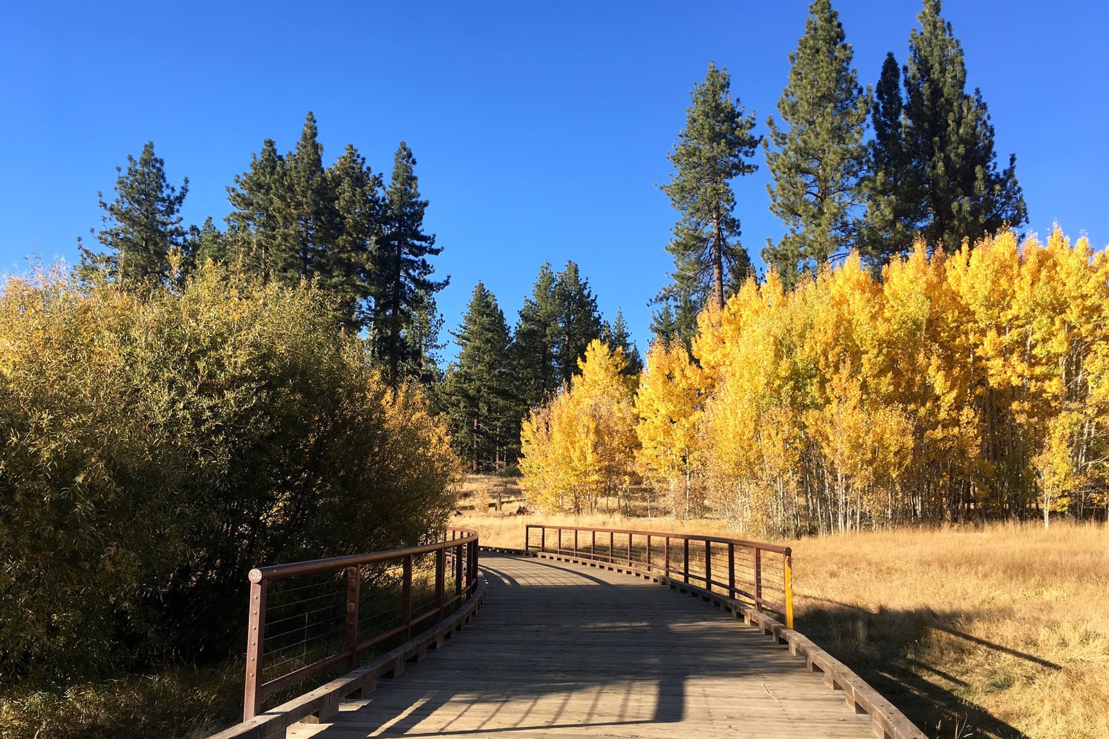 مسیر تفسیری تاهو میدوز - Tahoe Meadows Interpretive Trail