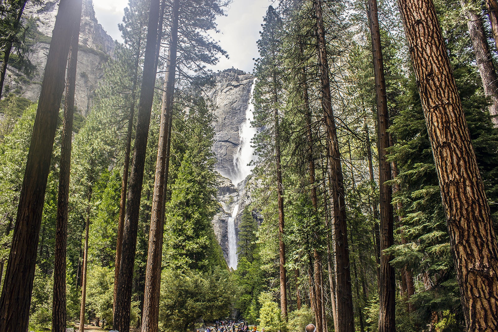 مسیر آبشار یوسمیتی - Yosemite Falls Trail