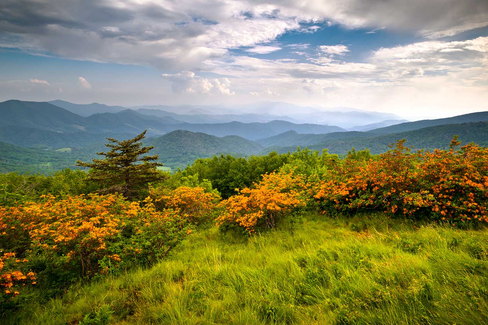 مسیر منظره ملی آپالاچی - Appalachian National Scenic Trail