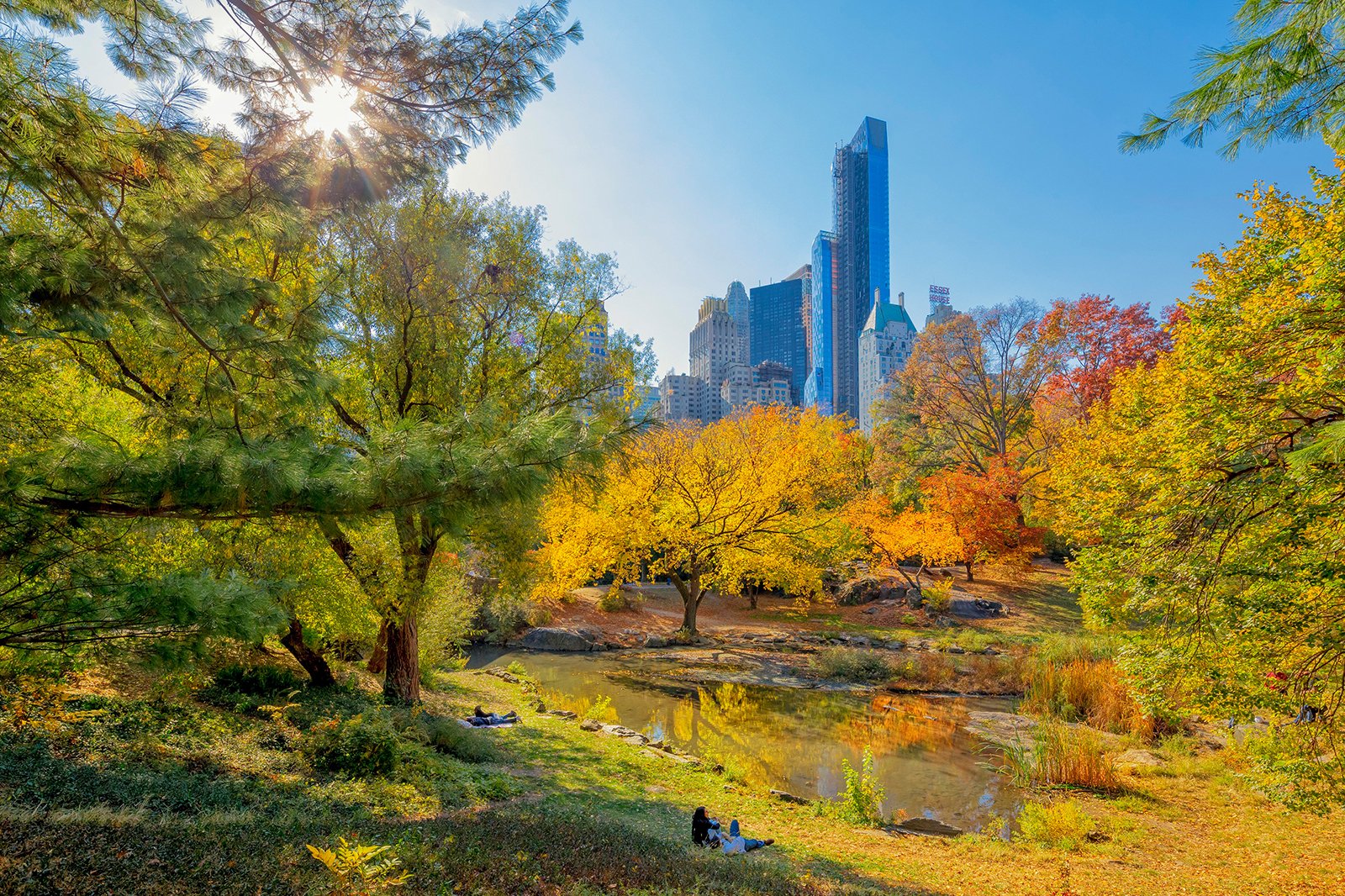 پارک مرکزی - Central Park