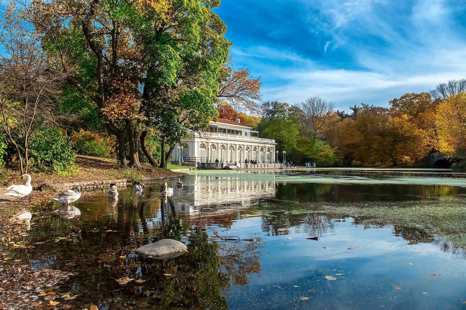 پرسپکت پارک - Prospect Park