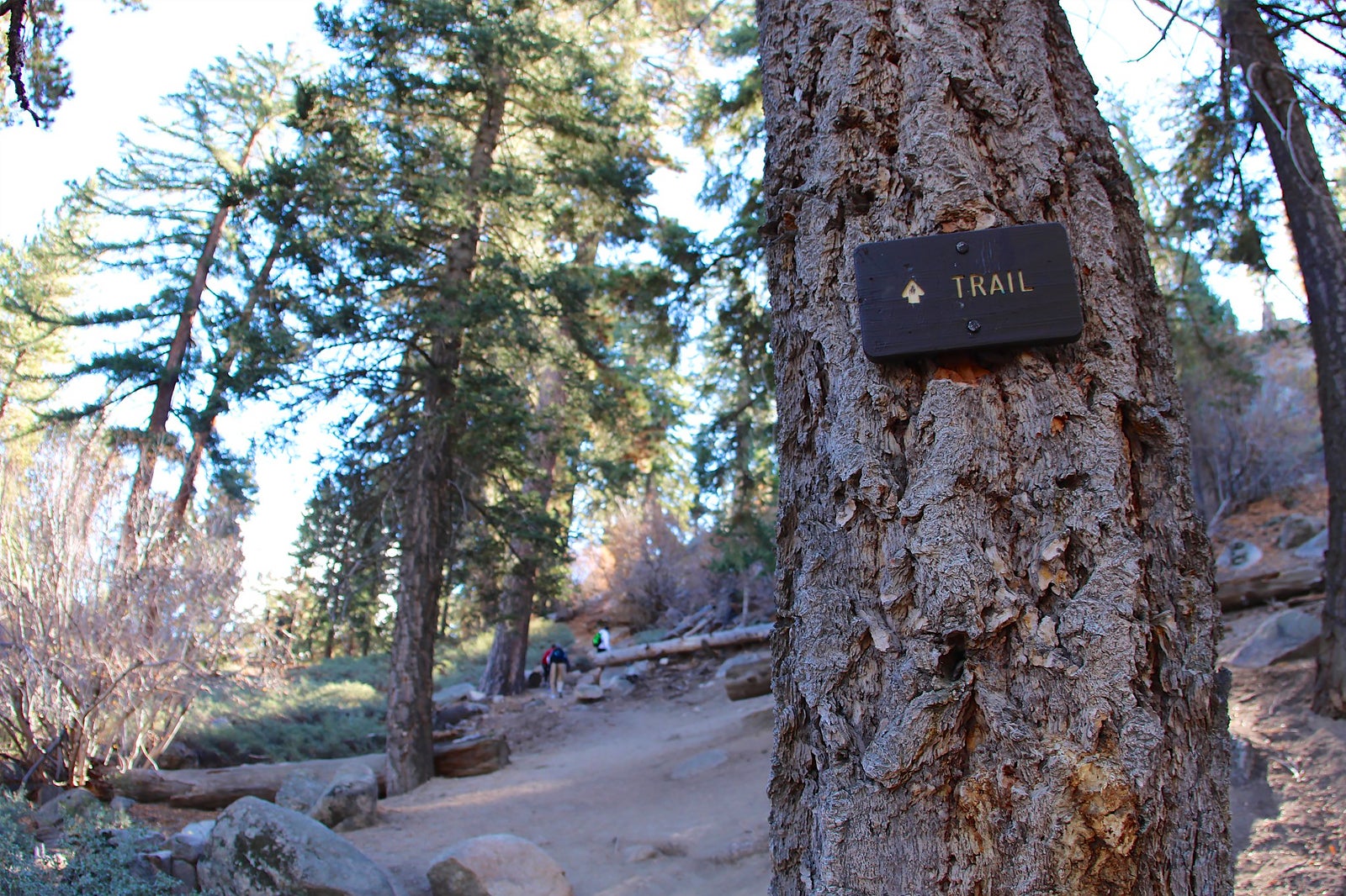 مسیر صخره قلعه - Castle Rock Trail