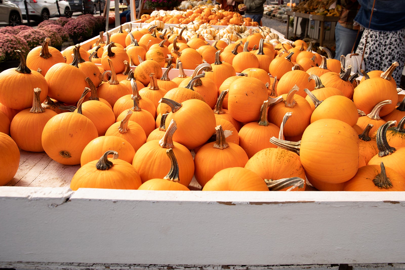 بازار کشاورزان نشویل - Nashville Farmers' Market