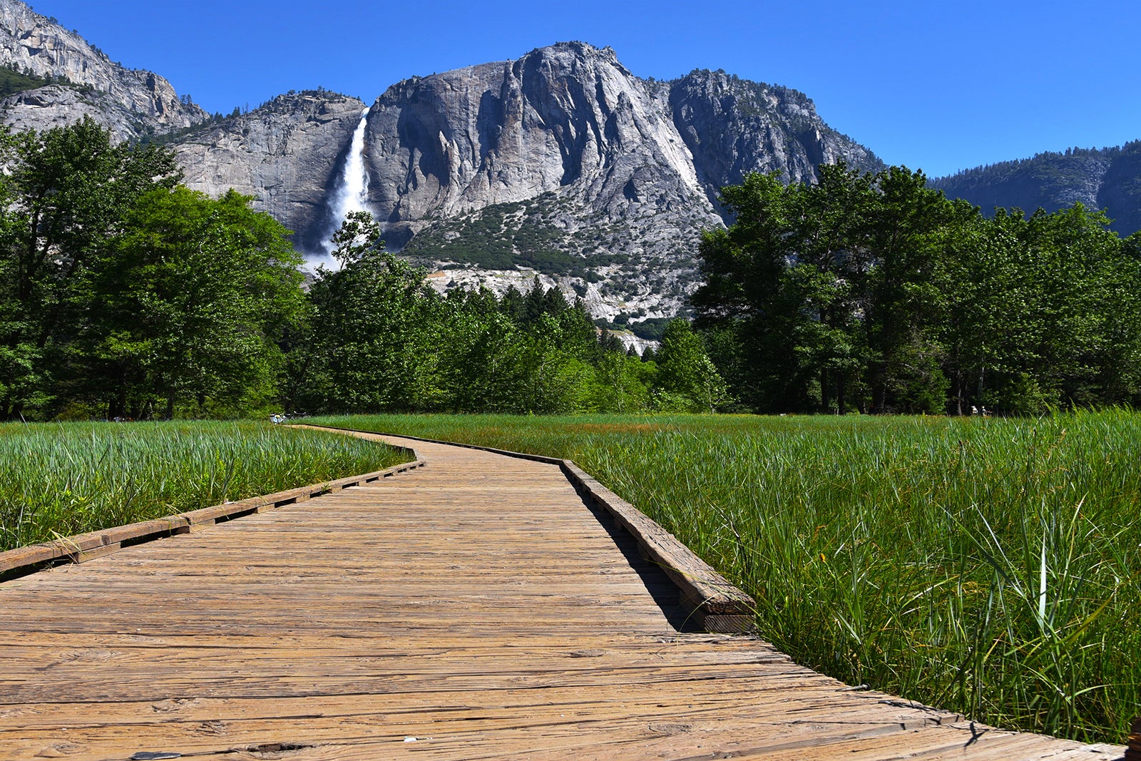 آبشار یوسمیتی - Yosemite Falls