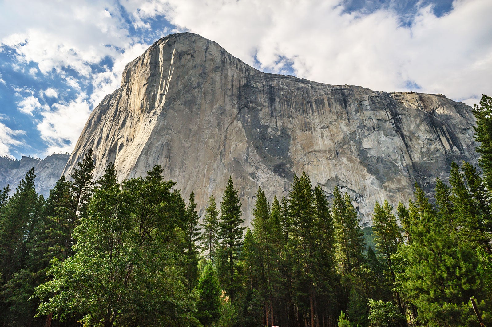 ال کاپیتان میدو - El Capitan Meadow