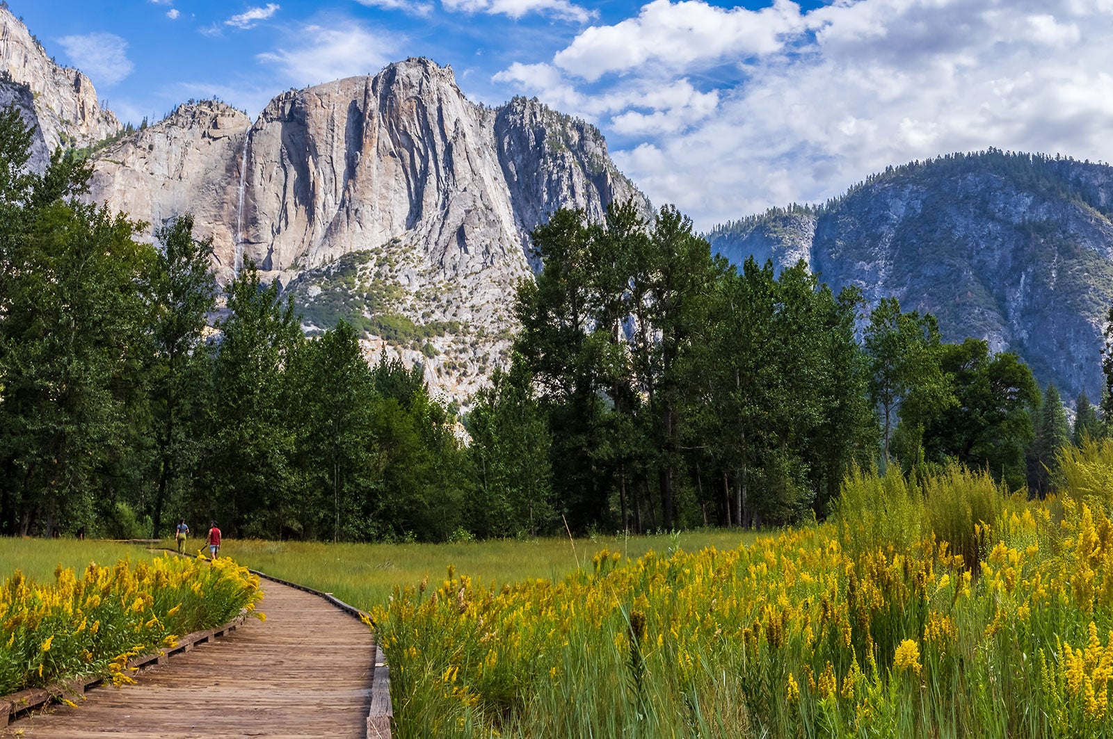 سنتینل میدو - Sentinel Meadow