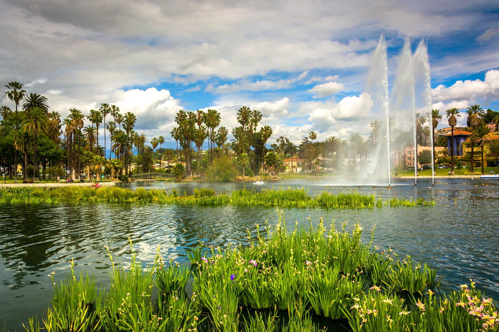 یک پیک نیک را در دریاچه پارک اکو به اشتراک بگذارید - Share a picnic at Echo Park Lake