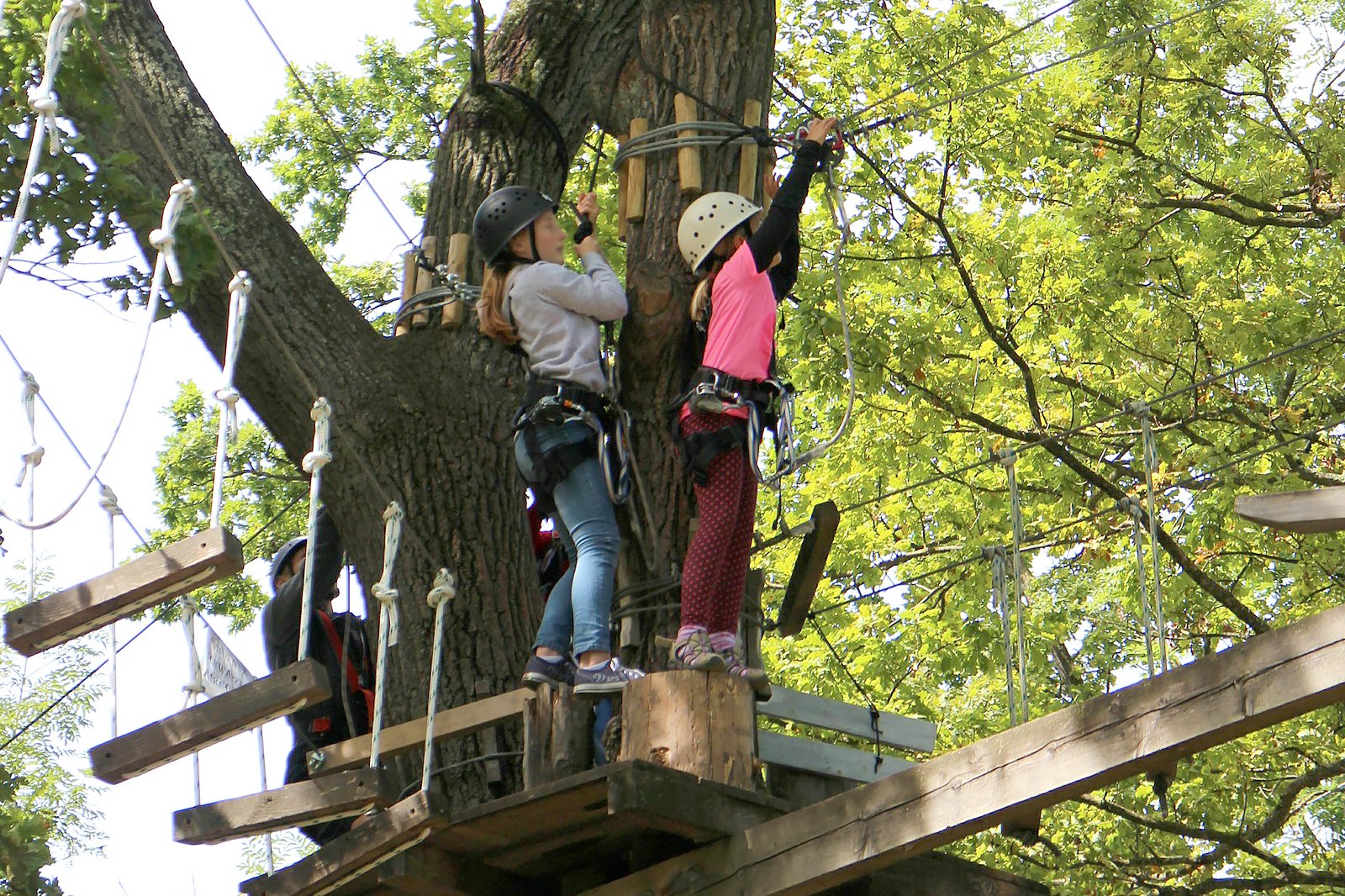 پارک ماجراجویی بالای درخت در سواحل نشویل - Treetop Adventure Park at Nashville Shores