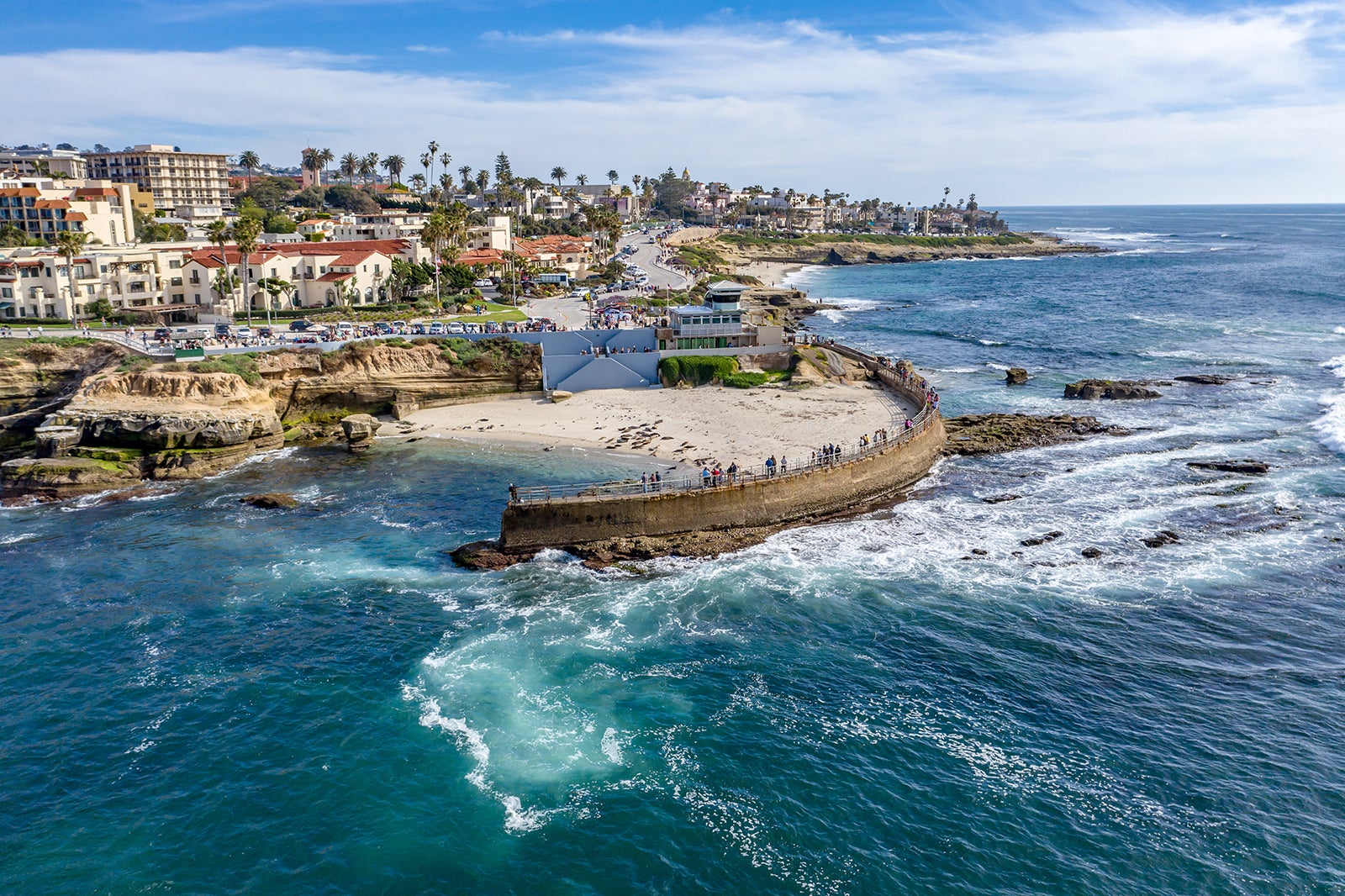 نزدیک شدن بیش از حد به فوک ها در لاجولا - Getting too close to seals in La Jolla