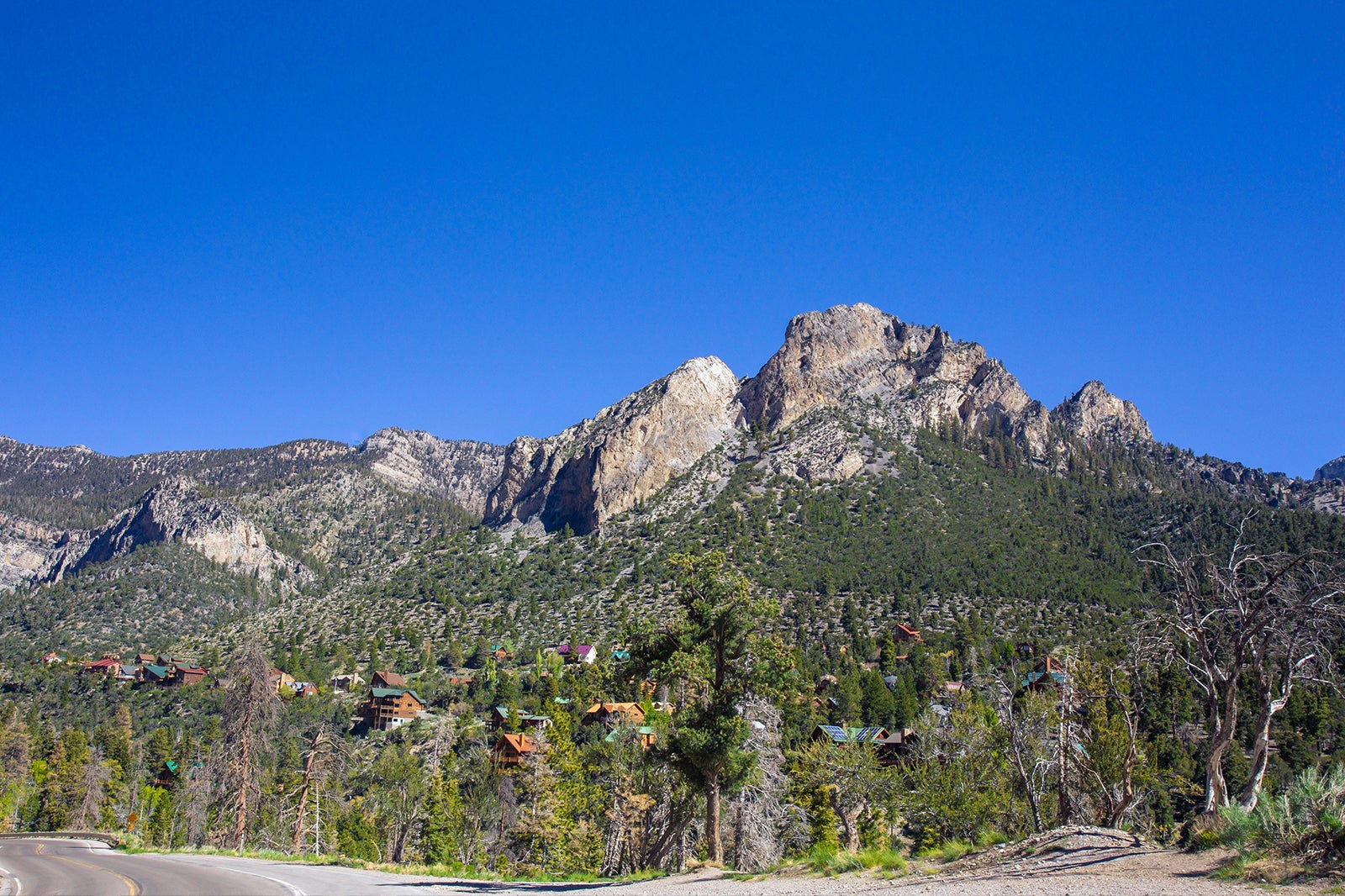 کوه چارلستون - Mount Charleston