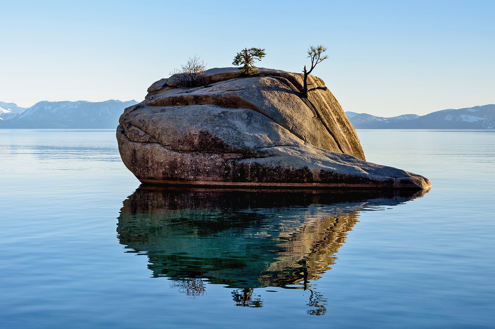 صخره بونسای - Bonsai Rock