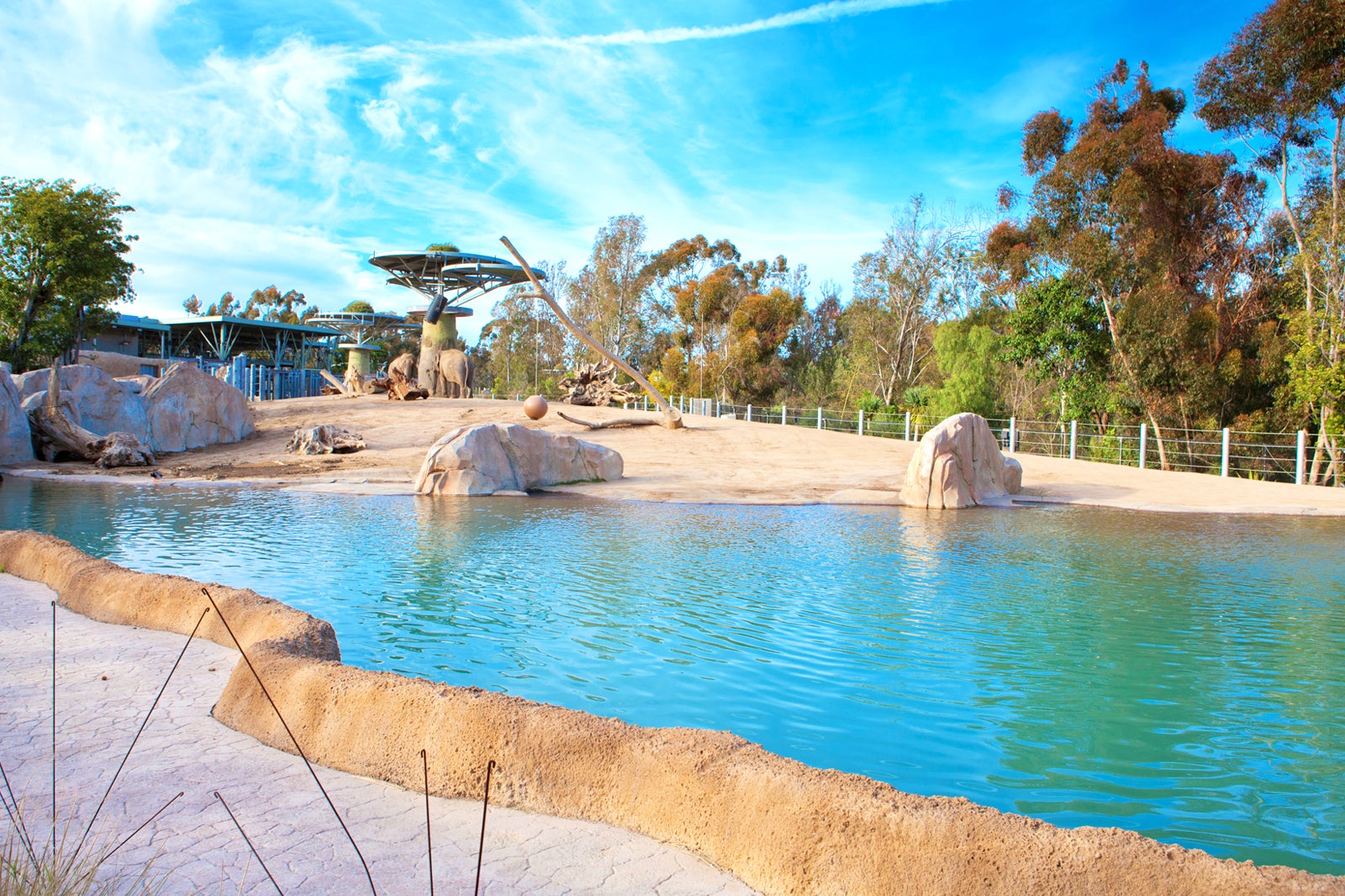 باغ وحش سن دیگو - San Diego Zoo