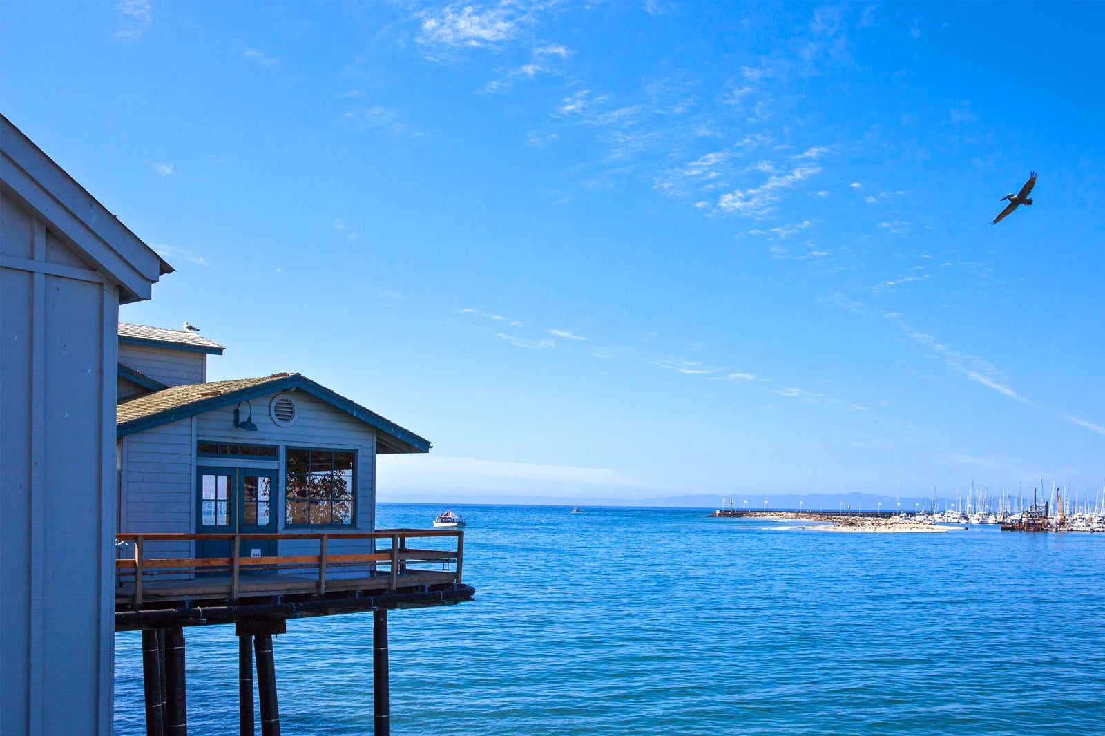 ماهیگیری در نزدیکی اسکله استرنز - Fishing near Stearns Wharf