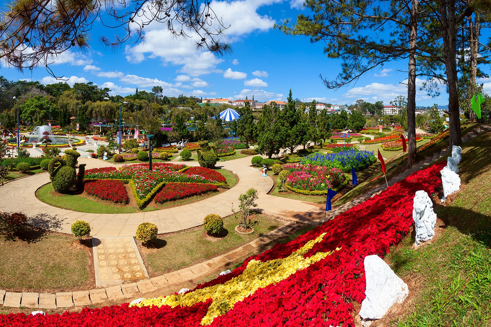 باغ گل دالات - Da Lat Flower Gardens