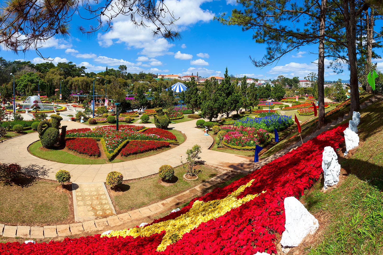 باغ گل دالات - Da Lat Flower Gardens