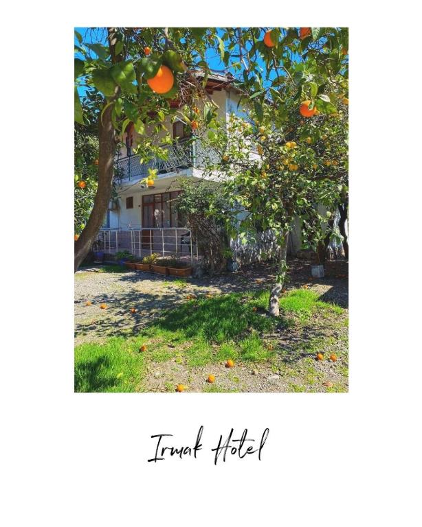 چیرالی ایرمک هتل - Cirali Irmak Hotel