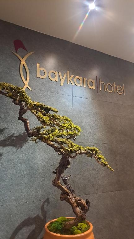 بی‌کارا هتل Baykara Hotel