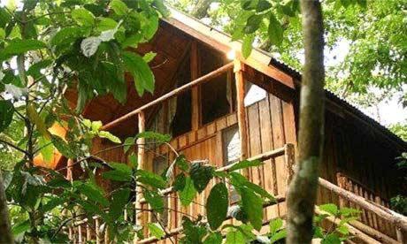 هتل بیرامز تری هاوسز Bayrams Tree Houses