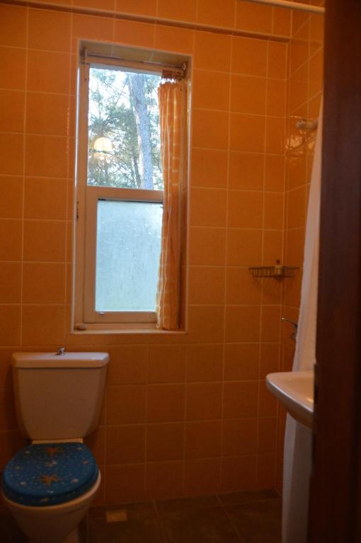 هتل دفنی هاوس Daphne House