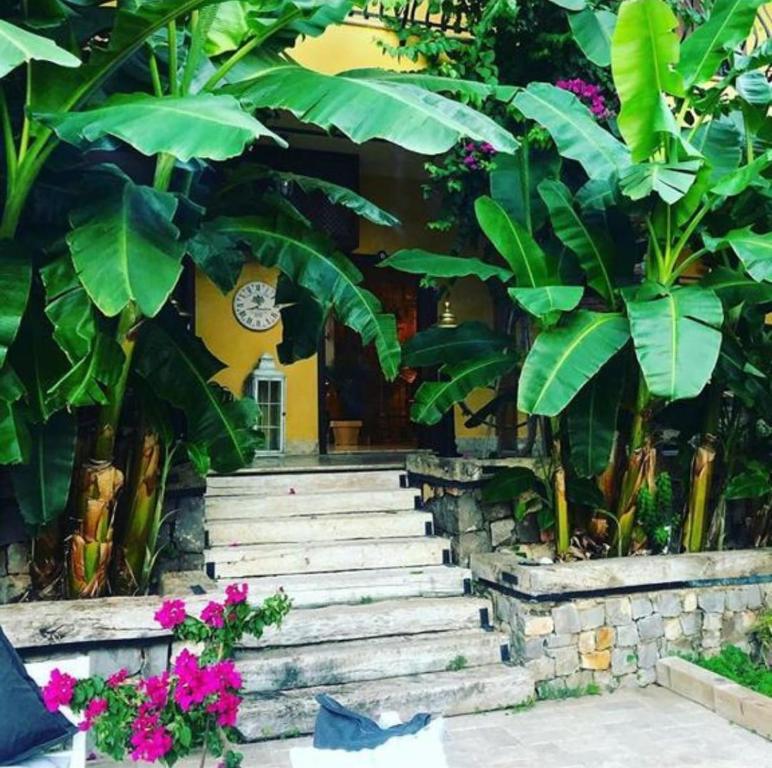 هان بوتیک هتل Han Boutique Hotel