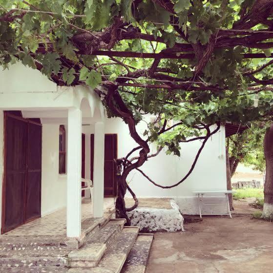 هتل بیلور پنشن - Billur Pension