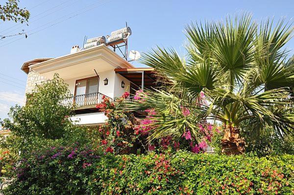 هتل ایزتوزو آپارت و ویلاس İztuzu apart&villas