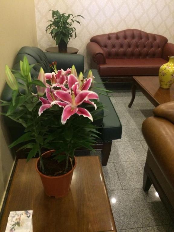 اونور هتل - Ünver Hotel