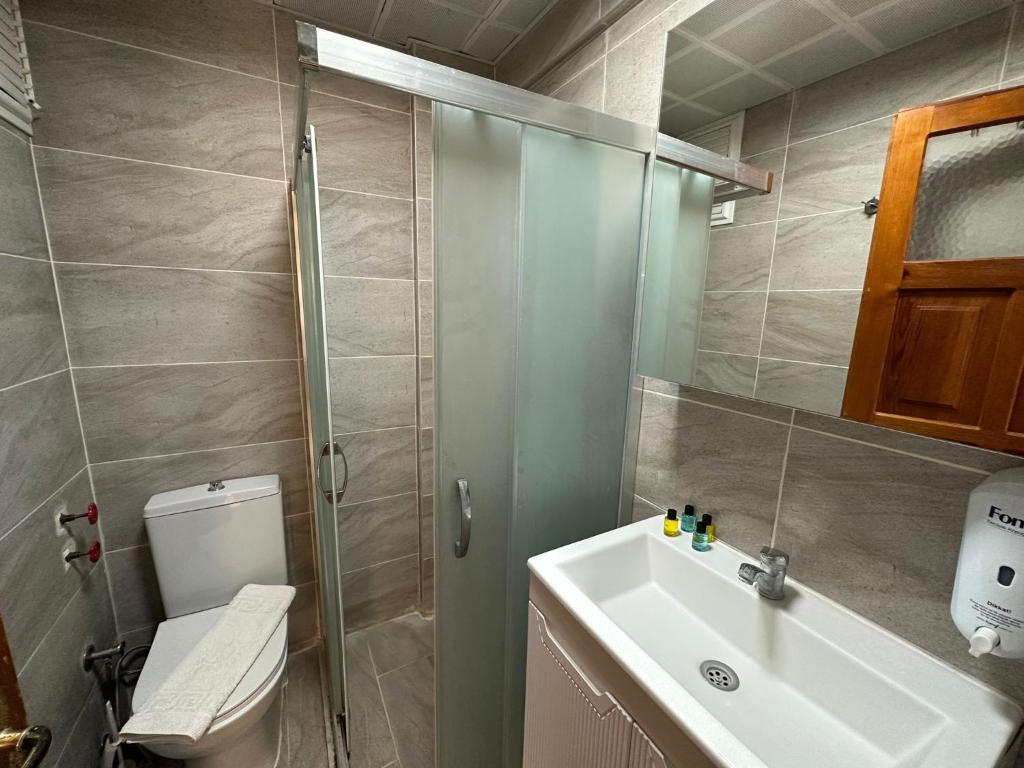 چیچک آپارت هتل Cicek Apart Hotel