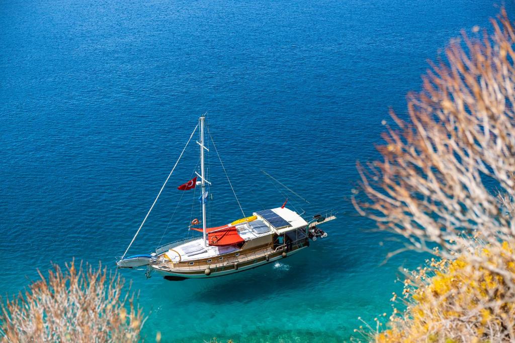 هتل Blue Cruise (Cruise), Kaş (Turkey) Deals