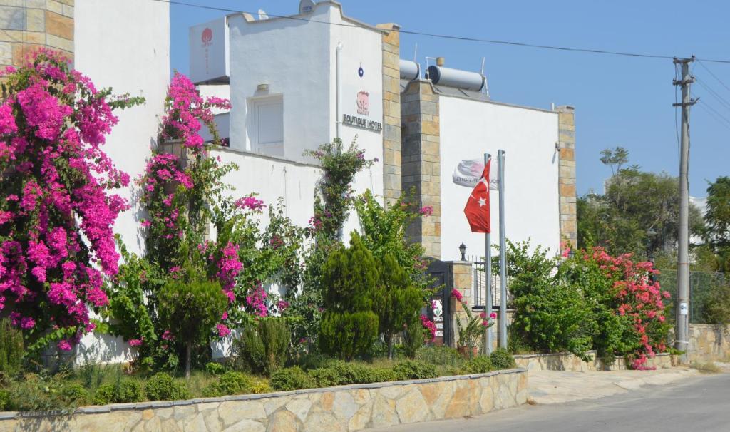 کاتن هتل Cotton Hotel