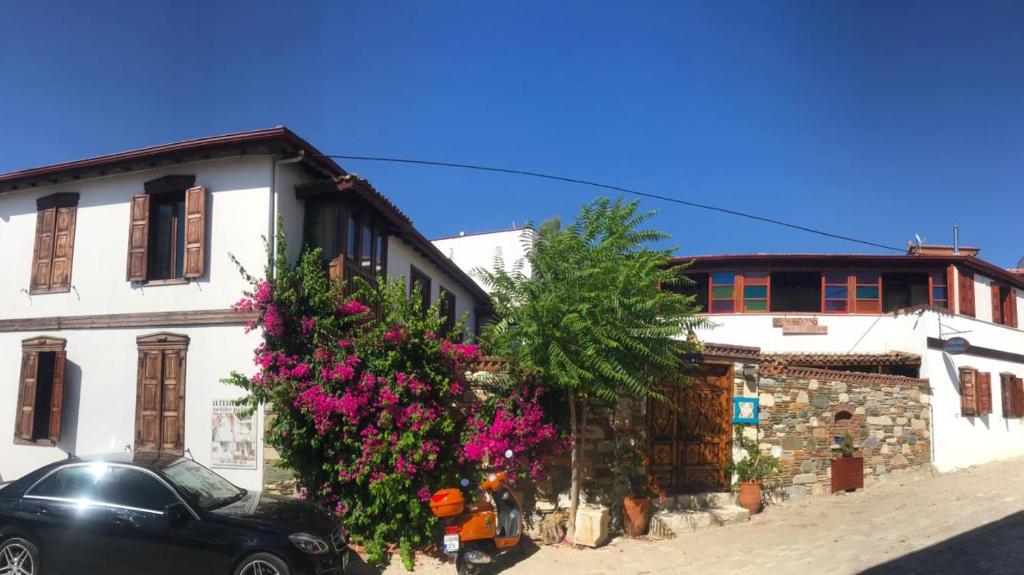 هتل آمازون پتی پالاس Amazon Petite Palace