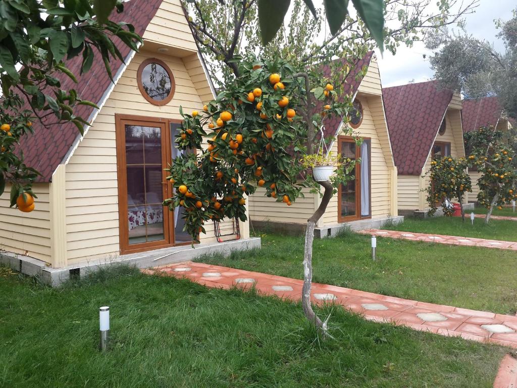 هتل ایداویلا بونگالوو و باهچه İdavilla Bungalov & Bahçe