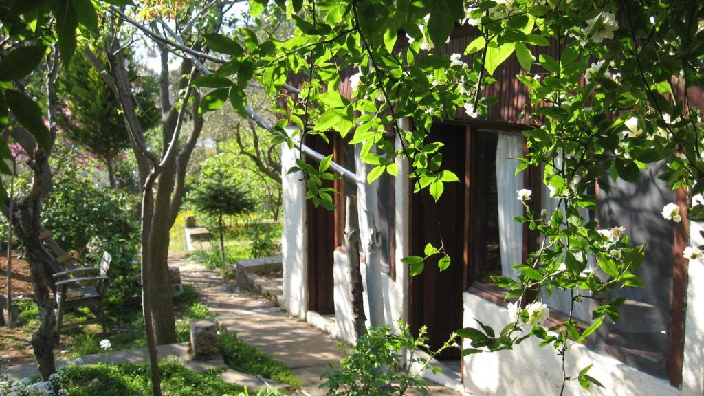 هتل آیوالیک دوست‌لار پانسیون Ayvalik Dostlar Pansiyon