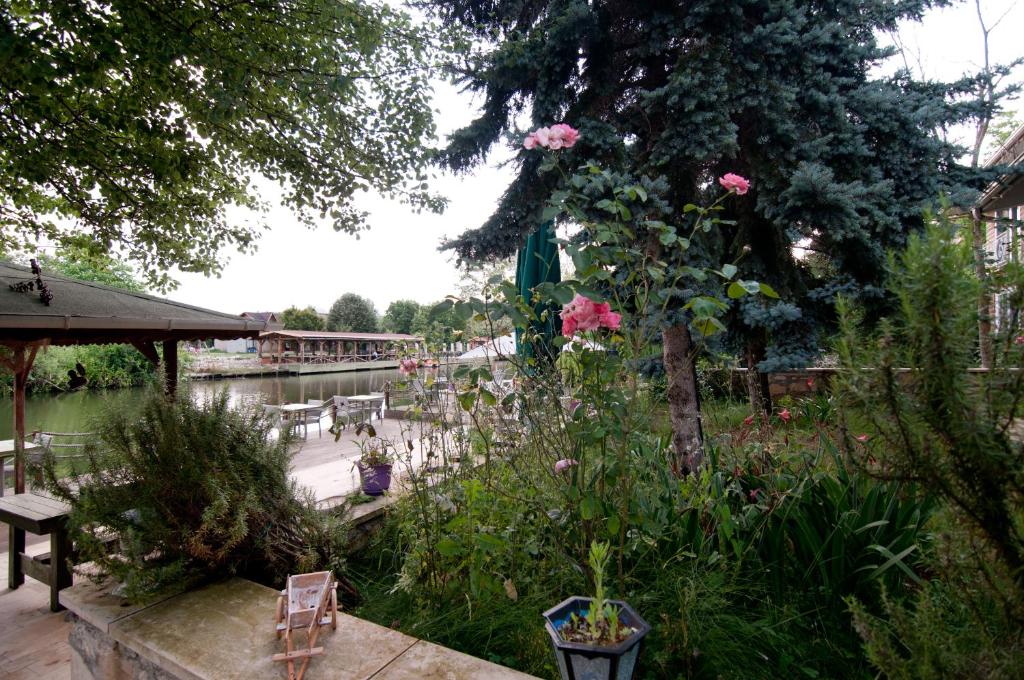 Agva Nehir Evi - Adult Only