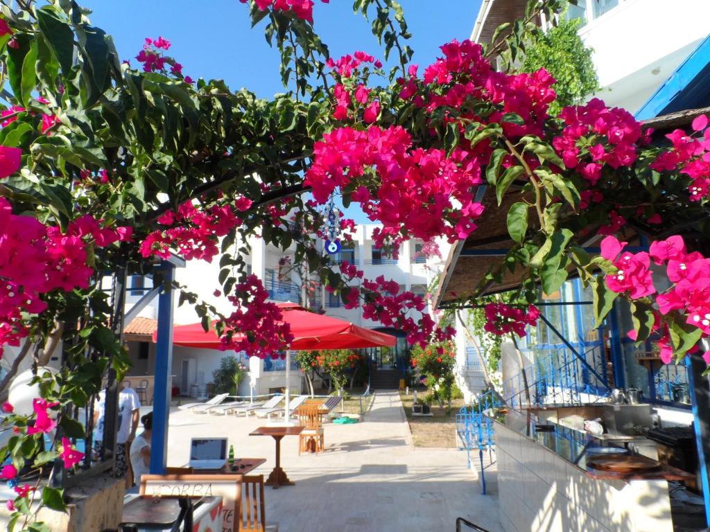 وان مور دی هتل One More Day Hotel