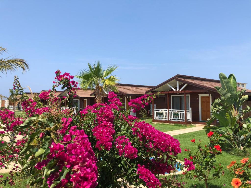 هتل سدییر پارک - بیچ بانگالو Sedir Park - Beach Bungalow