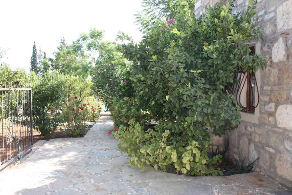 هتل ویلای ماندارین بای ایمپورتنت گروپ تراول Villa Mandarin by Important Group Travel