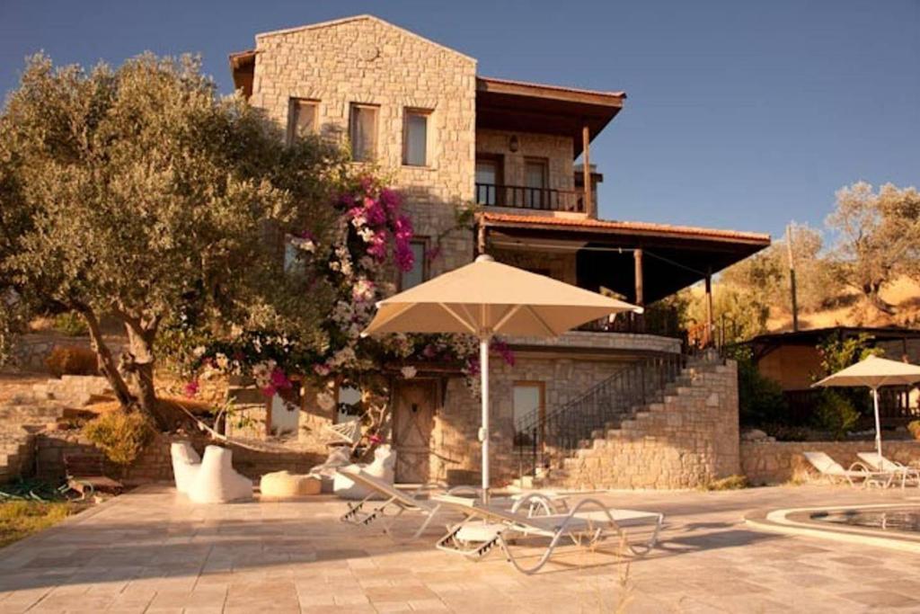 هتل ویلای الیو گاردن Villa Olive Garden
