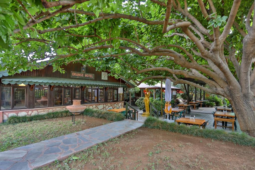 هتل چیرال‌ی اورنج موتل - Çıralı Orange Motel