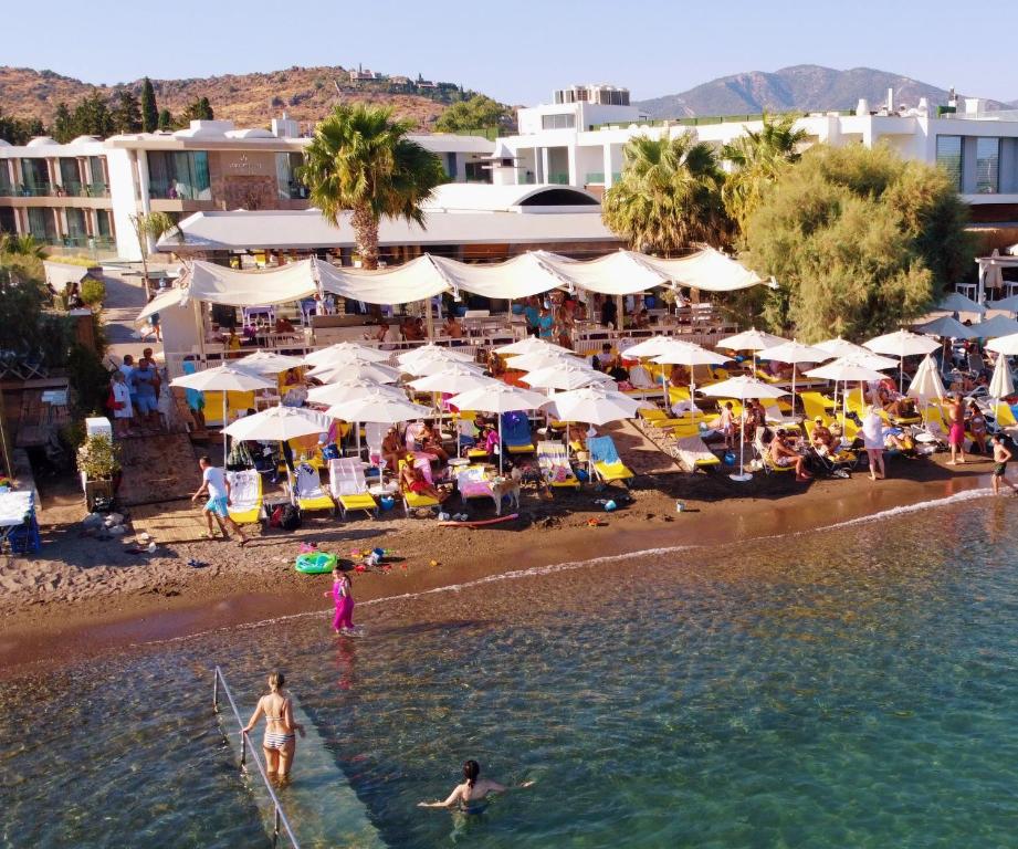 هیرودوت بیچ هتل Herodot Beach Otel