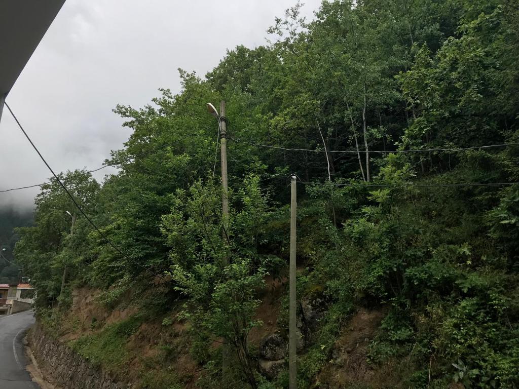 MAVİ KÖŞK UZUNGÖL