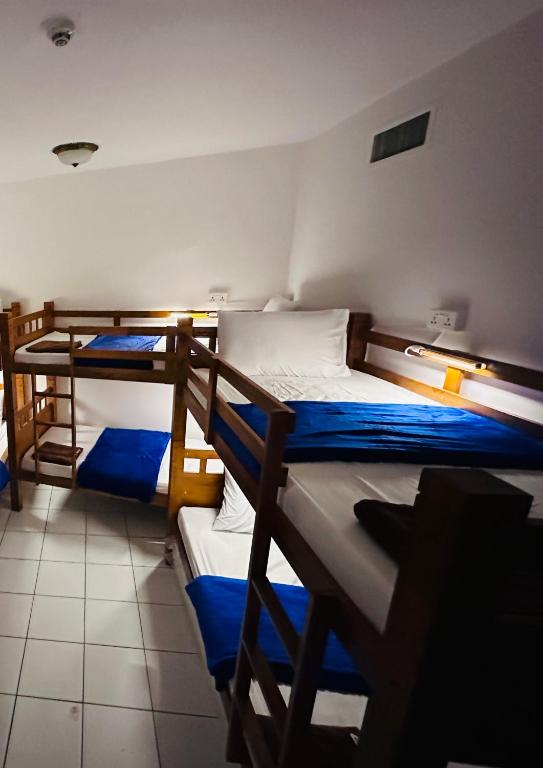 هتل هاستل نست Hostel Nest