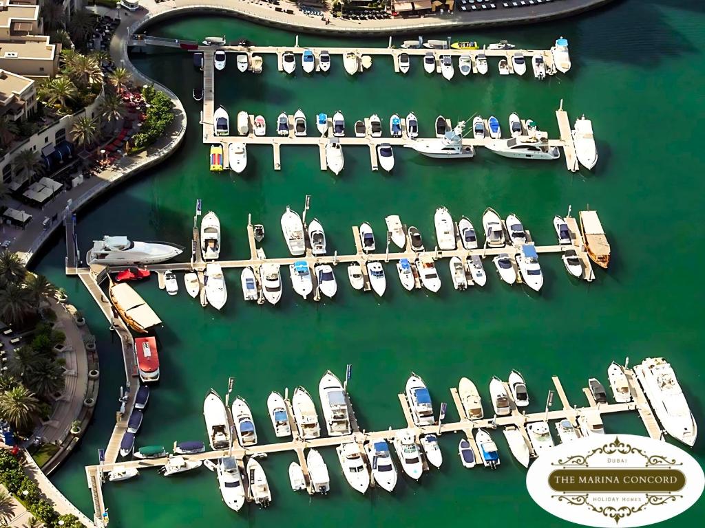 هتل د ماری نا کانونکورڈ The Marina Concord