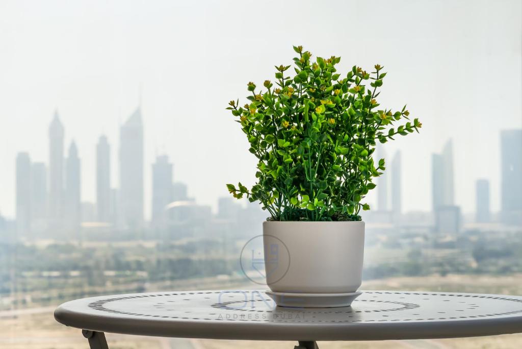 Brand New Apt 1BHK w/ wonderful view of Dubai City