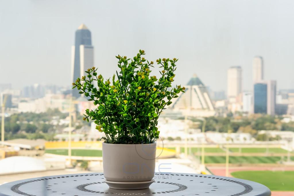 Brand New Apt 1BHK w/ wonderful view of Dubai City