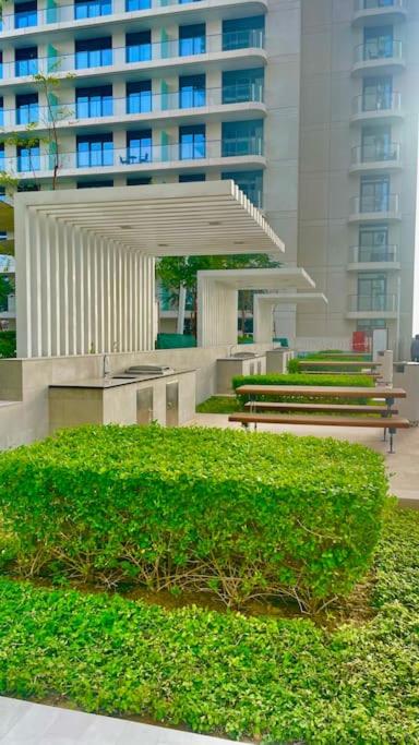 Beachfront Dubai Apartments