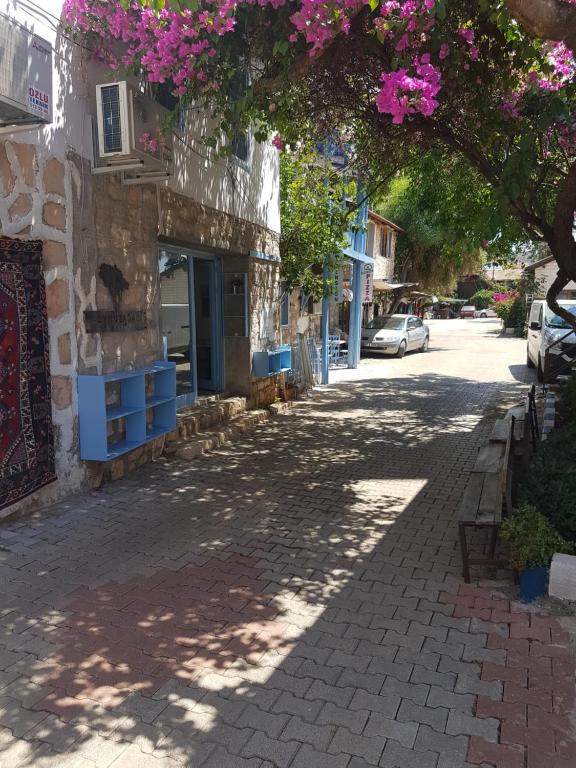 هتل بوی نوز آغاجی پانسیون Boynuz Ağacı pansiyon